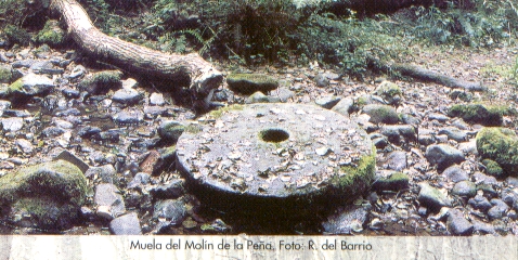 Muela del Moln de la Pea