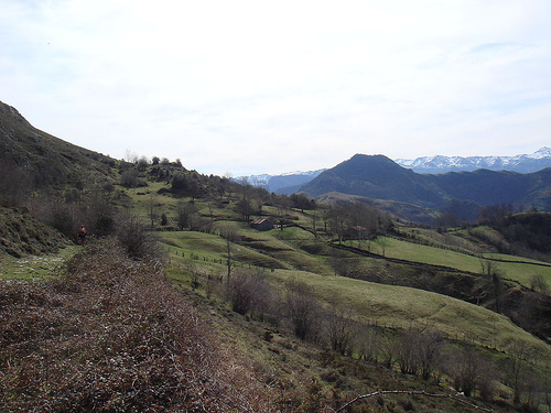 Cordal de Ponga y Caso