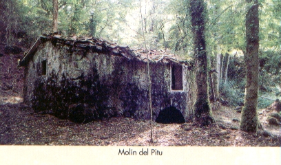 Moln del Pitu