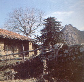 Los Tornos desde La Felguerina